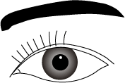 eye01